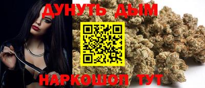 гидра Заводоуковск