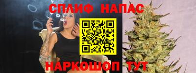 гидра Заводоуковск